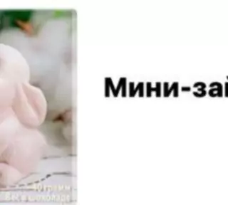 Фигурка из шоколадной глазури "Мини Зайка" Фигурка из шоколадной глазури "Мини Зайка"